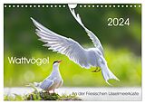 Kalender Wattvögel an der Friesischen IJsselmeerküste (Wandkalender 2024 DIN A4 quer), CALVENDO Monatskalender von Thomas Will