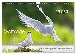 Kalender Wattvögel an der Friesischen IJsselmeerküste (Wandkalender 2024 DIN A4 quer), CALVENDO Monatskalender von Thomas Will