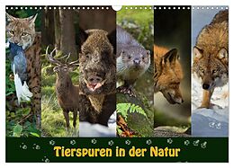Kalender Tierspuren in der Natur (Wandkalender 2024 DIN A3 quer), CALVENDO Monatskalender von Johann Schörkhuber