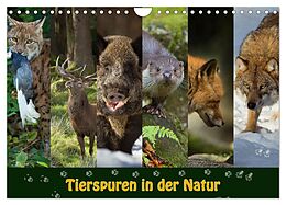 Kalender Tierspuren in der Natur (Wandkalender 2024 DIN A4 quer), CALVENDO Monatskalender von Johann Schörkhuber