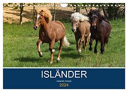 Kalender Isländer - icelandic horses (Wandkalender 2024 DIN A4 quer), CALVENDO Monatskalender von Alexandra Hollstein