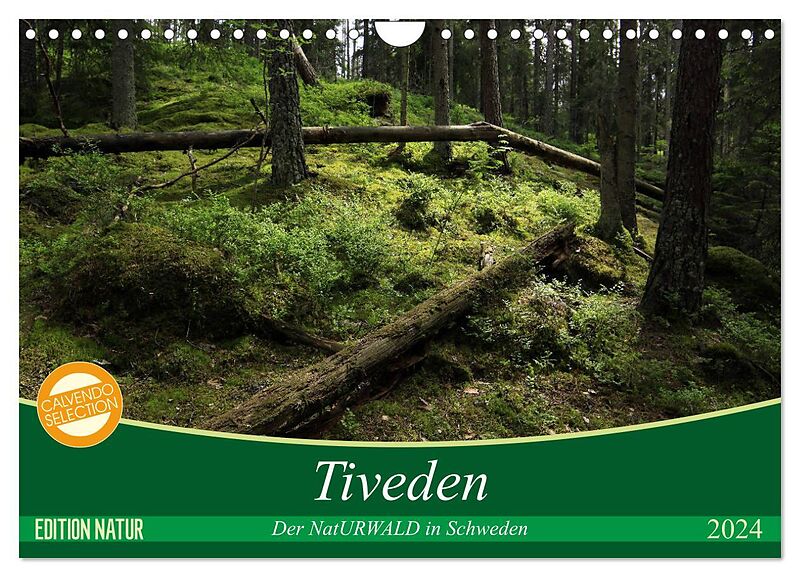 Tiveden, der NatURWALD in Schweden (Wandkalender 2024 DIN A4 quer), CALVENDO Monatskalender