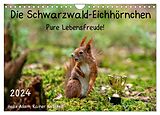 Kalender Die Schwarzwald-Eichhörnchen (Wandkalender 2024 DIN A4 quer), CALVENDO Monatskalender von Heike Adam