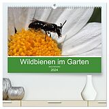 Kalender Wildbienen im Garten (hochwertiger Premium Wandkalender 2024 DIN A2 quer), Kunstdruck in Hochglanz von Silvia Hahnefeld