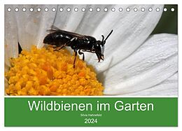 Kalender Wildbienen im Garten (Tischkalender 2024 DIN A5 quer), CALVENDO Monatskalender von Silvia Hahnefeld