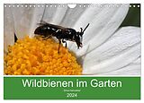 Kalender Wildbienen im Garten (Wandkalender 2024 DIN A4 quer), CALVENDO Monatskalender von Silvia Hahnefeld