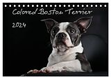 Kalender Colored Boston Terrier 2024 (Tischkalender 2024 DIN A5 quer), CALVENDO Monatskalender von Nicola Kassat Fotografie