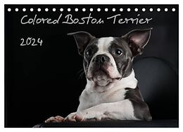Kalender Colored Boston Terrier 2024 (Tischkalender 2024 DIN A5 quer), CALVENDO Monatskalender von Nicola Kassat Fotografie
