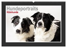 Kalender Hundeportraits - Hütehunde (Wandkalender 2024 DIN A2 quer), CALVENDO Monatskalender von Jasmin Hahn
