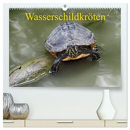 Kalender Wasserschildkröten (hochwertiger Premium Wandkalender 2024 DIN A2 quer), Kunstdruck in Hochglanz von Klaudia Kretschmann