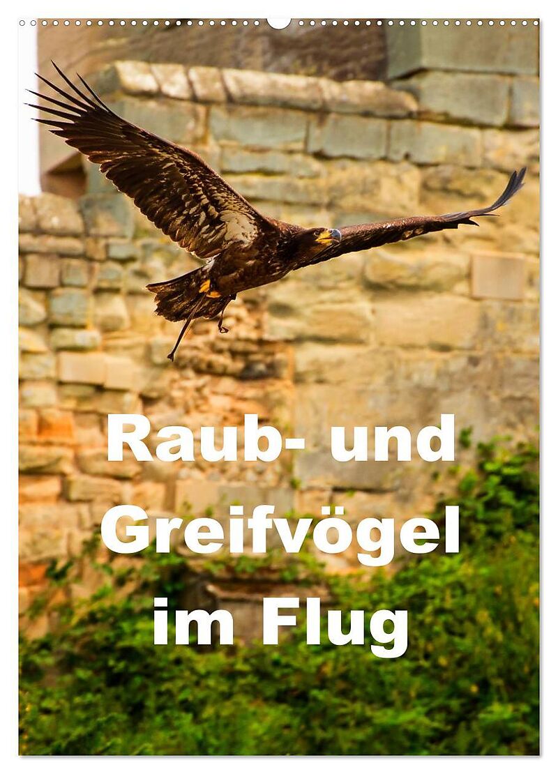 Raub- und Greifvögel im Flug (Wandkalender 2024 DIN A2 hoch), CALVENDO Monatskalender