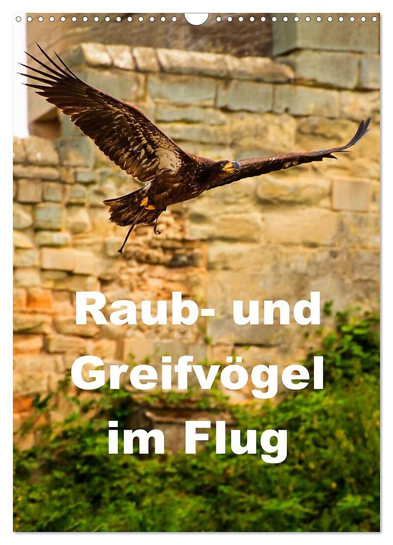 Raub- und Greifvögel im Flug (Wandkalender 2024 DIN A3 hoch), CALVENDO Monatskalender