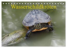 Kalender Wasserschildkröten (Tischkalender 2024 DIN A5 quer), CALVENDO Monatskalender von Klaudia Kretschmann
