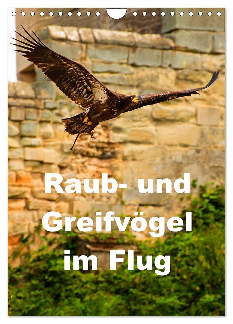 Raub- und Greifvögel im Flug (Wandkalender 2024 DIN A4 hoch), CALVENDO Monatskalender