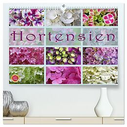 Kalender Hortensien / Geburtstagskalender (hochwertiger Premium Wandkalender 2024 DIN A2 quer), Kunstdruck in Hochglanz von Martina Cross