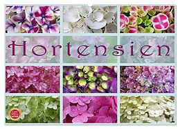Kalender Hortensien / Geburtstagskalender (Wandkalender 2024 DIN A2 quer), CALVENDO Monatskalender von Martina Cross
