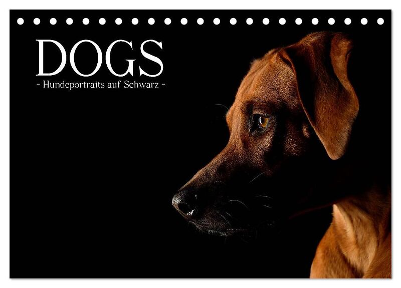 Dogs (Tischkalender 2024 DIN A5 quer), CALVENDO Monatskalender