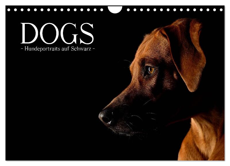 Dogs (Wandkalender 2024 DIN A4 quer), CALVENDO Monatskalender
