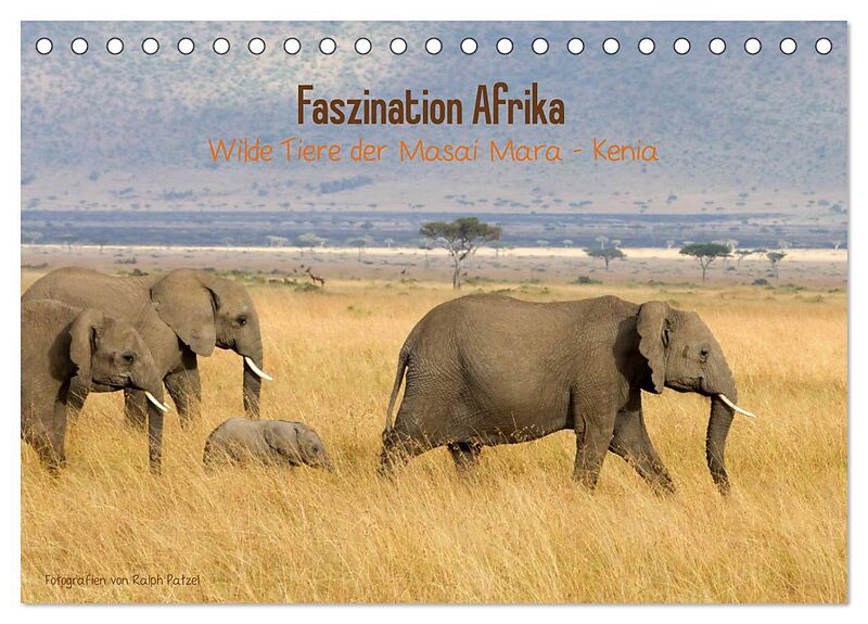 Faszination Afrika - wilde Tiere der Masai Mara - Kenia (Tischkalender 2024 DIN A5 quer), CALVENDO Monatskalender