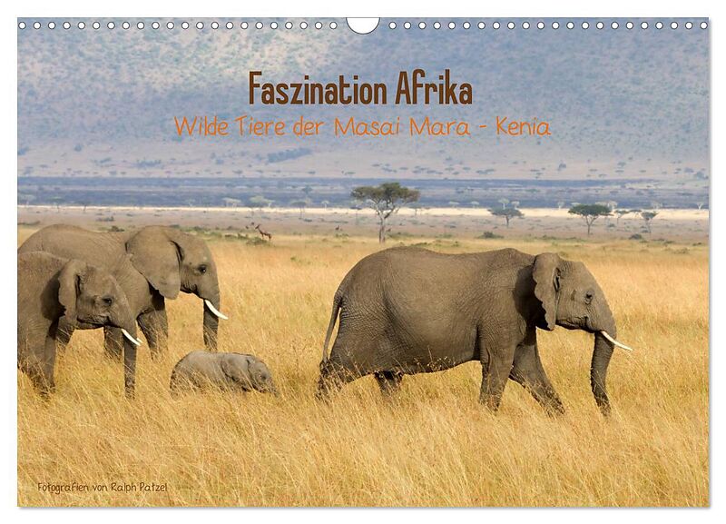 Faszination Afrika - wilde Tiere der Masai Mara - Kenia (Wandkalender 2024 DIN A3 quer), CALVENDO Monatskalender