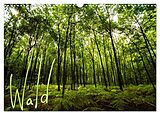 Kalender Wald (Wandkalender 2024 DIN A3 quer), CALVENDO Monatskalender von Frauke Gimpel