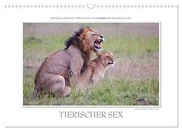 Kalender Emotionale Momente: Tierischer Sex. (Wandkalender 2024 DIN A3 quer), CALVENDO Monatskalender von Ingo Gerlach GDT