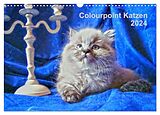 Kalender Colourpoint Katzen 2024 (Wandkalender 2024 DIN A3 quer), CALVENDO Monatskalender von Sylvia Säume