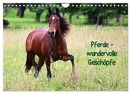 Kalender Pferde - wundervolle Geschöpfe (Wandkalender 2024 DIN A4 quer), CALVENDO Monatskalender von Anja Blum