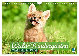 Kalender Wald-Kindergarten: Tierkinder im Wald (Wandkalender 2024 DIN A4 quer), CALVENDO Monatskalender von CALVENDO CALVENDO