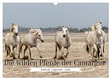 Kalender Die wilden Pferde der Camargue (Wandkalender 2024 DIN A3 quer), CALVENDO Monatskalender von Brigitte Dürr