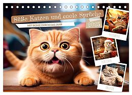 Süße Katzen und coole Sprüche (Tischkalender 2025 DIN A5 quer