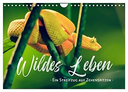 Kalender Wildes Leben - Ein Streifzug auf Zehenspitzen (Wandkalender 2025 DIN A4 quer), CALVENDO Monatskalender von Sonja Schlichter