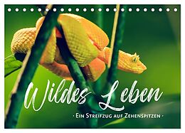 Kalender Wildes Leben - Ein Streifzug auf Zehenspitzen (Tischkalender 2025 DIN A5 quer), CALVENDO Monatskalender von Sonja Schlichter
