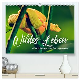 Kalender Wildes Leben - Ein Streifzug auf Zehenspitzen (hochwertiger Premium Wandkalender 2025 DIN A2 quer), Kunstdruck in Hochglanz von Sonja Schlichter