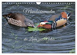 Kalender Mandarinenenten, die Liebe zur Natur (Wandkalender 2025 DIN A4 quer), CALVENDO Monatskalender von Rufotos Rufotos