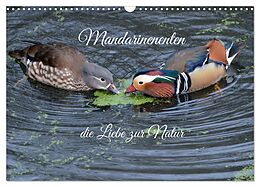 Kalender Mandarinenenten, die Liebe zur Natur (Wandkalender 2025 DIN A3 quer), CALVENDO Monatskalender von Rufotos Rufotos