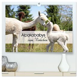 Kalender (Kal) Alpakababys zum Verlieben (hochwertiger Premium Wandkalender 2025 DIN A2 quer), Kunstdruck in Hochglanz von Heidi Rentschler