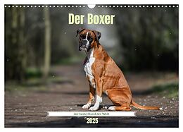 Kalender (Kal) Der Boxer, der beste Hund der Welt (Wandkalender 2025 DIN A3 quer), CALVENDO Monatskalender von Yvonne Janetzek