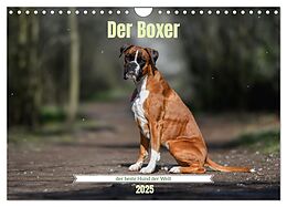 Kalender (Kal) Der Boxer, der beste Hund der Welt (Wandkalender 2025 DIN A4 quer), CALVENDO Monatskalender von Yvonne Janetzek