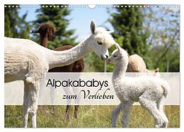 Kalender (Kal) Alpakababys zum Verlieben (Wandkalender 2025 DIN A3 quer), CALVENDO Monatskalender von Heidi Rentschler