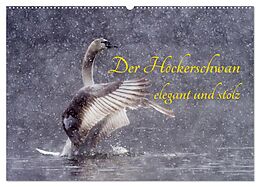 Kalender (Kal) Der Höckerschwan elegant und stolz (Wandkalender 2025 DIN A2 quer), CALVENDO Monatskalender von Wilfried Martin (GDT)