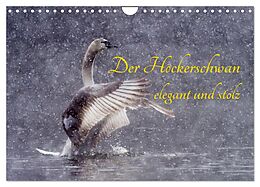 Kalender (Kal) Der Höckerschwan elegant und stolz (Wandkalender 2025 DIN A4 quer), CALVENDO Monatskalender von Wilfried Martin (GDT)