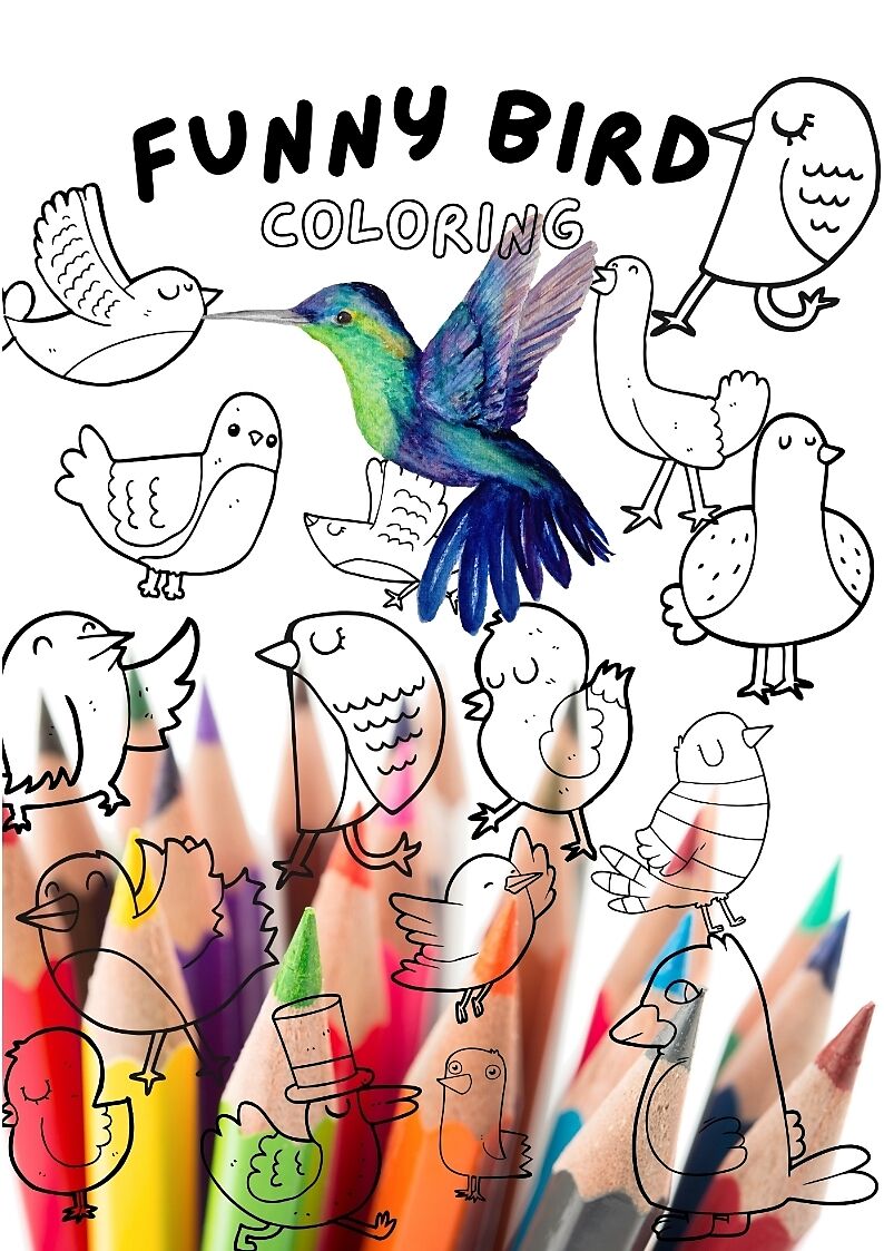 Funny Bird Coloring Book