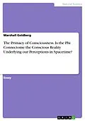 E-Book (pdf) The Primacy of Consciousness. Is the Phi Connectome the Conscious Reality Underlying our Perceptions in Spacetime? von Marshall Goldberg