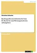 E-Book (pdf) Rechtsquellen im Arbeitsrecht. Vom EU-Recht bis zum Weisungsrecht des Arbeitgebers von Christina Schuster