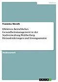 E-Book (pdf) Effektives Betriebliches Gesundheitsmanagement in der Stadtverwaltung Wubberberg. Herausforderungen und Lösungsansätze von Franziska Merath