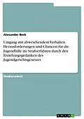 E-Book (pdf) Umgang mit abweichendem Verhalten. Herausforderungen und Chancen für die Jugendhilfe im Strafverfahren durch den Erziehungsgedanken des Jugendgerichtsgesetzes von Alexander Beck