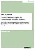 E-Book (pdf) Anthroposophische Heime im Spannungsfeld staatlicher Vorgaben von Felix Tur Romero