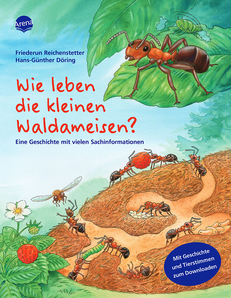 Wie leben die kleinen Waldameisen?