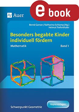 E-Book (pdf) Begabte Kinder individuell fördern, Mathe Band 1 von H. Tiefenthaler